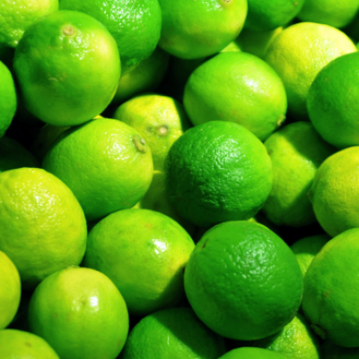 fresh agricultural products (16)