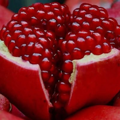 fresh agricultural products (19)